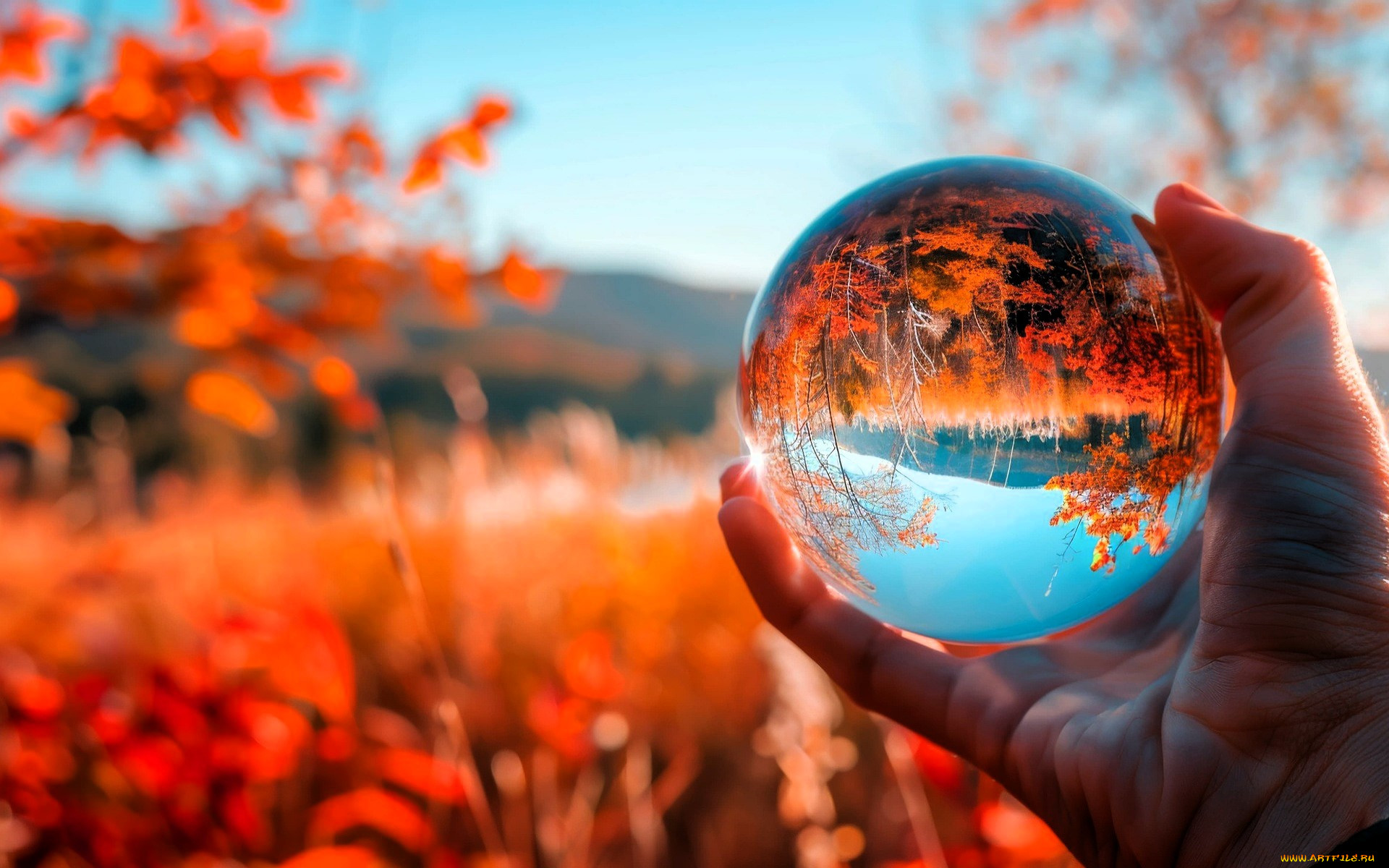 3 ,  , nature, , , , 